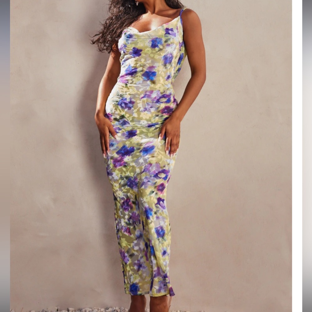 PLT Floral Dress